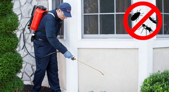 Kırklareli Dezenfeksiyon böcek ilaçlama ve haşere kontrolü — ilaclama-tr.com
